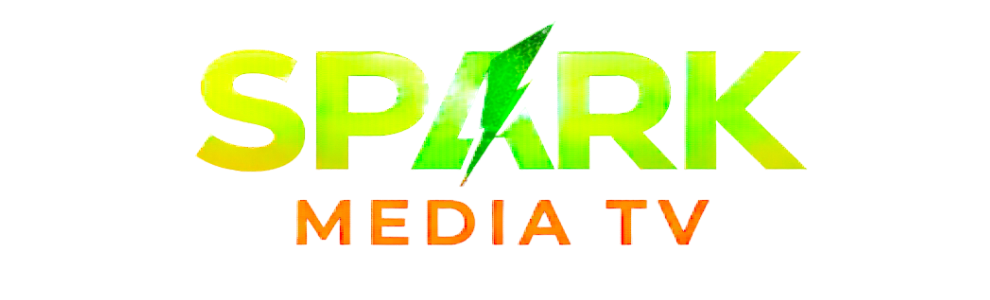 Spark Now Live logo